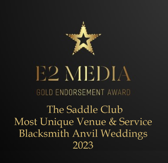 E2 Media Gold Endorsement Award