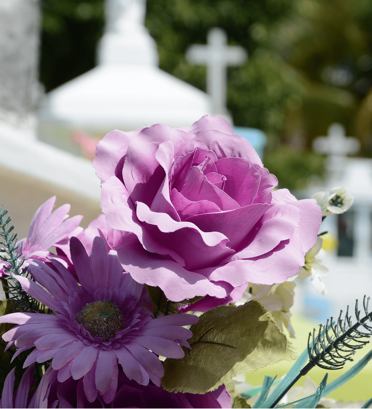 Purple flowers with blurred background crosses.